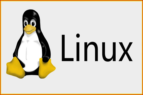 Vps Hosting Review: The Most Trustworthy Option On The Taiwan Market